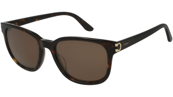 CT0002S 002 Havana Brown