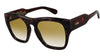 CH0149S 002 tortoise brown