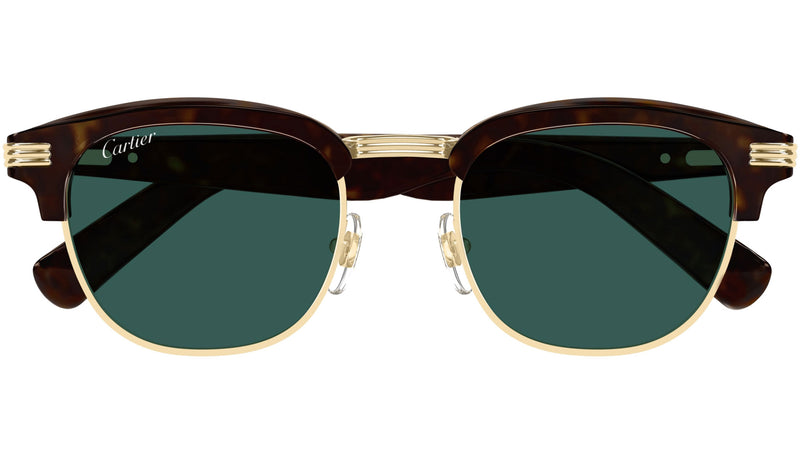 CT0496S 002 Tortoise Green