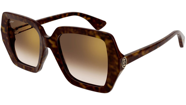 CT0507S 002 Tortoise Brown