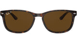 RB2184 902/57 tortoise