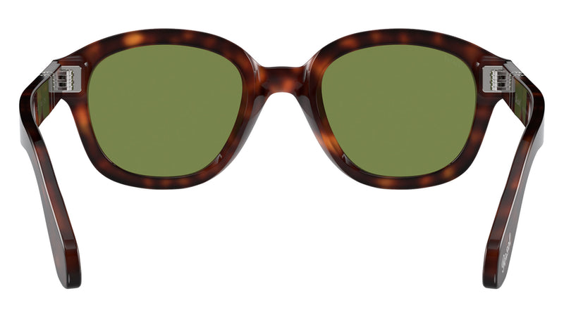 PO0060S 24/4E Tortoise