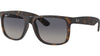 Justin RB4165 865/8S Tortoise