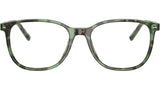 DG 3426 3439 Havana Green