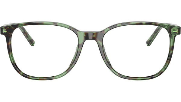 DG 3426 3439 Havana Green