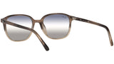 Leonard RB2193 gradient brown havana