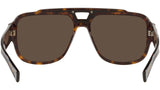 DG 4389 502/73 tortoise