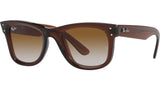 Wayfarer Reverse RBR0502S 6709CB Brown