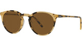 O'Malley Sun OV5183S 170153 Tortoise YTB