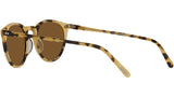 O'Malley Sun OV5183S 170153 Tortoise YTB