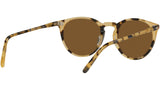 O'Malley Sun OV5183S 170153 Tortoise YTB