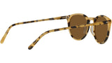 O'Malley Sun OV5183S 170153 Tortoise YTB