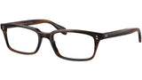 Denison OV5102 1724 Tuscany Tortoise