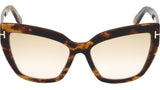 Johannes FT0745 55F Tortoise