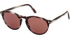 Aurele FT0904 50E Striped Havana Brown