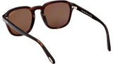 Avery FT0931 52H Havana Brown