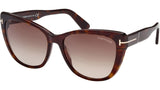 Nora FT0937 52K Dark Havana Roviex