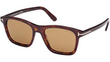 Barron FT1179 52E Havana Brown