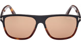 Frances FT1081 05E Black Havana Brown