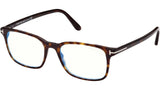 FT5831-B 052 Dark Havana